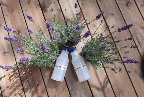 Leiliaroom lavendel 500ml