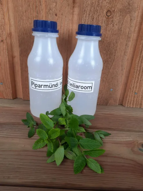 Leiliaroom piparmünt 500ml